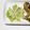 kotorinpi's cooksnap of when they made レンジで簡単キャベツだけ！付け合わせ＊.