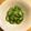 ボブナナ's cooksnap of when they made きゅうりの酢の物.