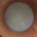 ma___111's cooksnap of when they made 酒粕豆乳プリン.