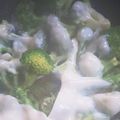 しっさ's cooksnap of when they made これ旨！ブロッコリーのコンソメチーズ焼き.