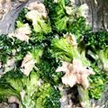 キヨンヌママ's cooksnap of when they made ブロッコリーとツナのマヨマスタード和え.