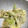 たるまるキッチン's cooksnap of when they made 簡単！白菜とすりごまのマヨネーズ和え.
