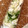かつぞう☆'s cooksnap of when they made よ～く使う☆ネギの保存方法 ❮冷凍❯.