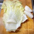 GoGo島みかん's cooksnap of when they made お餅のロール白菜.