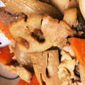 おが氏's cooksnap of when they made 作りおき＊れんこんと豚肉のきんぴら.
