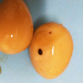 クックOE3YFA☆'s cooksnap of when they made うずらの卵で 味玉とか煮玉子 ゆーやつ.