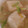 まるりゅう's cooksnap of when they made ◆サクサクとろ～り♪揚げ餅のみぞれ汁◆.