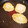 かみわかめ's cooksnap of when they made もちもち大根もち.