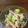 namadu's cooksnap of when they made ネギチャーシュー.