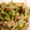 akitam529's cooksnap of when they made 白菜と鶏肉の味噌マヨ炒め.