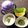 sAix59's cooksnap of when they made 離乳食初期～　鯛と野菜のとろとろ.