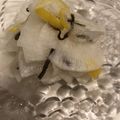 Rafafafa's cooksnap of when they made お手軽☆大根と塩昆布の柚風味.