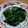 あちょＣ's cooksnap of when they made 簡単☆ほうれん草のナムル.
