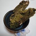 きなこﾊﾟﾝ's cooksnap of when they made 抹茶とアーモンドのビスコッティ★.