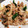 yottan312's cooksnap of when they made 豚肉とピーマンのオイスターソース炒め.