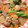 ⁂popu⁂'s cooksnap of when they made 簡単☆鶏もも肉と大根のうま煮☆副菜に！.