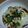 あいーぷ's cooksnap of when they made もっちりえだまめ豆腐.
