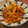 馬のしっぽこ's cooksnap of when they made 簡単☆本格ミートソース.