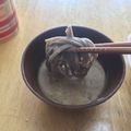 みおみお¨̮'s cooksnap of when they made 【簡単】クルミだれ♡のお蕎麦【濃厚】.