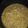 tannrei's cooksnap of when they made 簡単、時短！幼児食にも！鶏玉子玉ねぎ煮.