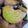 こまこま子's cooksnap of when they made HM☆サクっほろ！抹茶！クッキー！.