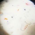クックE662AA☆'s cooksnap of when they made 肉なしルーなし　ホワイトシチュー.