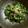 masaetsu's cooksnap of when they made 大根菜のお漬物.