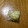 ☆こまっと☆'s cooksnap of when they made 持て余さない！！生姜の冷凍保存.