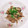payaちゃん's cooksnap of when they made 牡蠣のオイスターレモン炒め.