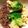 のぶ代's cooksnap of when they made そぼろ丼.