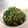 カーボンレッド's cooksnap of when they made 【簡単】ご飯が止まらない！大根菜の炒め物.