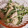 juri0626's cooksnap of when they made 水菜と鶏ささみの胡麻マヨサラダ.