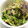 あゆたろう♫'s cooksnap of when they made キャベツとサバの水煮缶のマヨ炒め.
