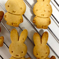 タラまよ's cooksnap of when they made クッキー生地の伸ばし方.