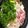 料理大好きママさん☆'s cooksnap of when they made 野菜たっぷり♪鶏白湯鍋✨.