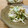 solapapa's cooksnap of when they made 水菜とごぼうのごまマヨサラダ.