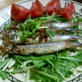 けんせいのはは's cooksnap of when they made ししゃもの南蛮漬け.