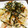 nanonappy's cooksnap of when they made 大根とツナの簡単いため.