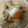 かおり♡♡♡'s cooksnap of when they made とんこつ風鍋.