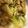 フクソノ's cooksnap of when they made [副菜]簡単！白菜のシーチキン煮♥.