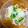 Marmo's cooksnap of when they made 新玉ねぎと菜の花の洋風お浸し！.