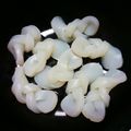 ひなたのねこやなぎ's cooksnap of when they made 簡単☆こんにゃくの結び方.