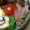 ﾋﾟﾛﾐ♡'s cooksnap of when they made ★ベーコンとモヤシとピーマンの甘辛炒め♪.