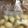 しろねこかーさん's cooksnap of when they made にんにくの長期保存方法.