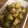 クックZ8J4H4☆'s cooksnap of when they made じゃがいもとインゲンのサブジ.