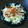 o☆shino's cooksnap of when they made レンジで簡単、切り餅でお好み焼き風.