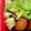 rose__m's cooksnap of when they made 白菜の浅漬け（柚子胡椒）.