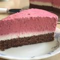 Remtan's cooksnap of when they made ふんわり♪さわやかレモンヨーグルトムース.