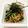 azbjbn's cooksnap of when they made 納豆と大根葉のご飯.