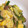 うすぽて's cooksnap of when they made しめじと玉子の餡かけ丼.